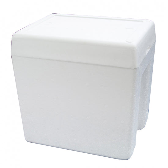 Nevera Foam 20 litros