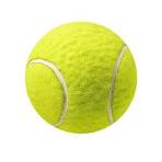 Pelotas de tenis